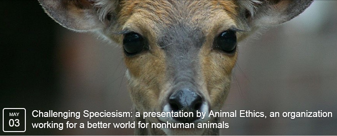 animal-ethics-oakland-ad