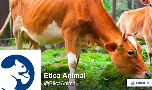 Ética Animal en las redes sociales