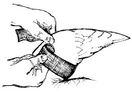 source: http://www.commonswift.org