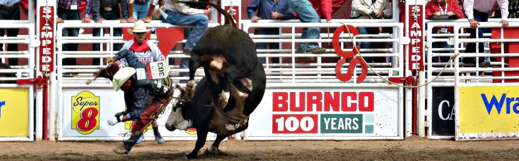 Crowd watches men fight a bull at a rodeo