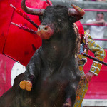 miniatura-bullfighting