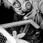 miniatura-military-experimentation