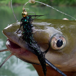 miniatura-sport-fishing